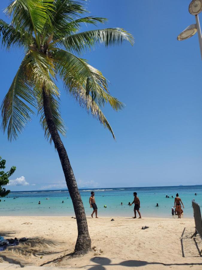 Villa L'Anjou Creole A Sainte Anne En Guadeloupe Avec Piscine Privee Et 2 Chambres Pour 4 Personnes Εξωτερικό φωτογραφία