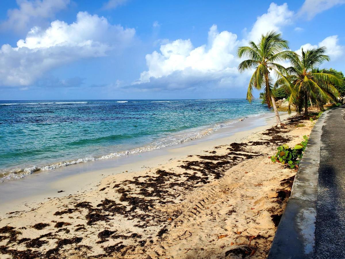 Villa L'Anjou Creole A Sainte Anne En Guadeloupe Avec Piscine Privee Et 2 Chambres Pour 4 Personnes Εξωτερικό φωτογραφία