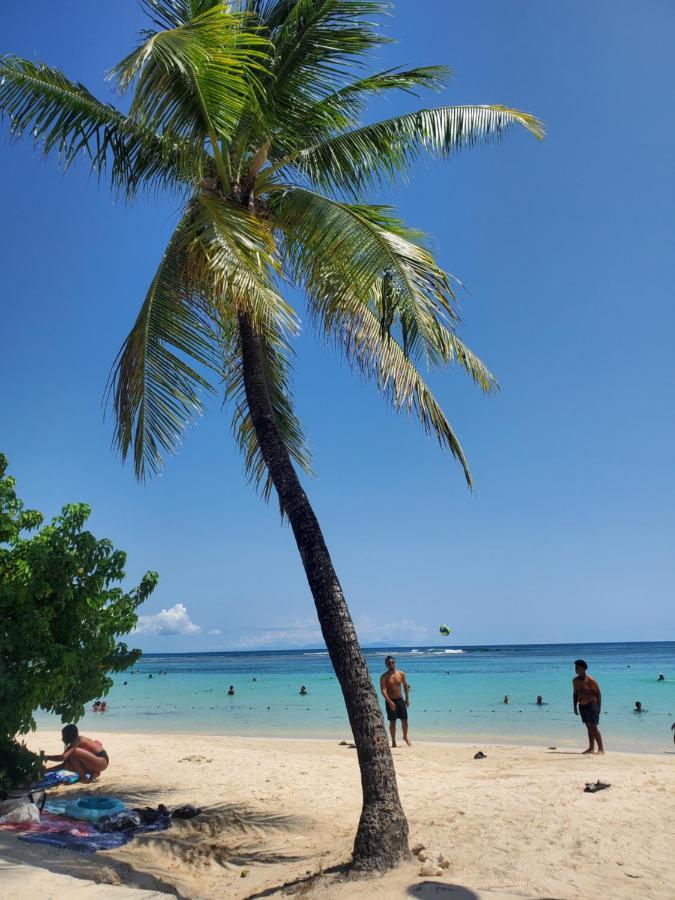 Villa L'Anjou Creole A Sainte Anne En Guadeloupe Avec Piscine Privee Et 2 Chambres Pour 4 Personnes Εξωτερικό φωτογραφία