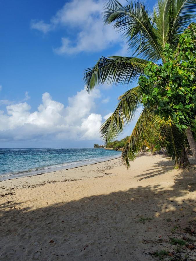 Villa L'Anjou Creole A Sainte Anne En Guadeloupe Avec Piscine Privee Et 2 Chambres Pour 4 Personnes Εξωτερικό φωτογραφία