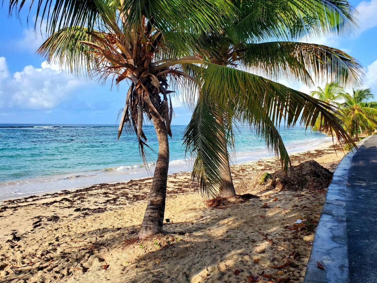 Villa L'Anjou Creole A Sainte Anne En Guadeloupe Avec Piscine Privee Et 2 Chambres Pour 4 Personnes Εξωτερικό φωτογραφία
