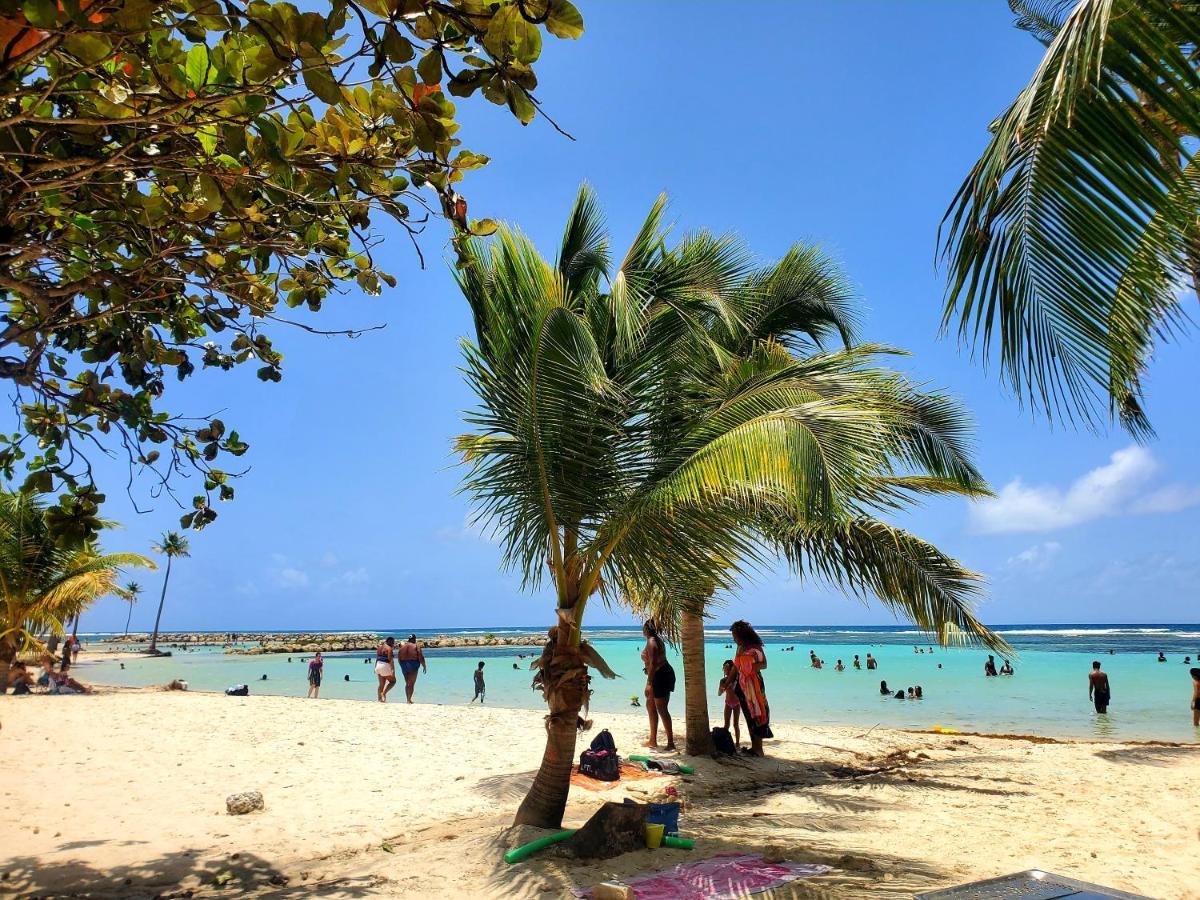 Villa L'Anjou Creole A Sainte Anne En Guadeloupe Avec Piscine Privee Et 2 Chambres Pour 4 Personnes Εξωτερικό φωτογραφία