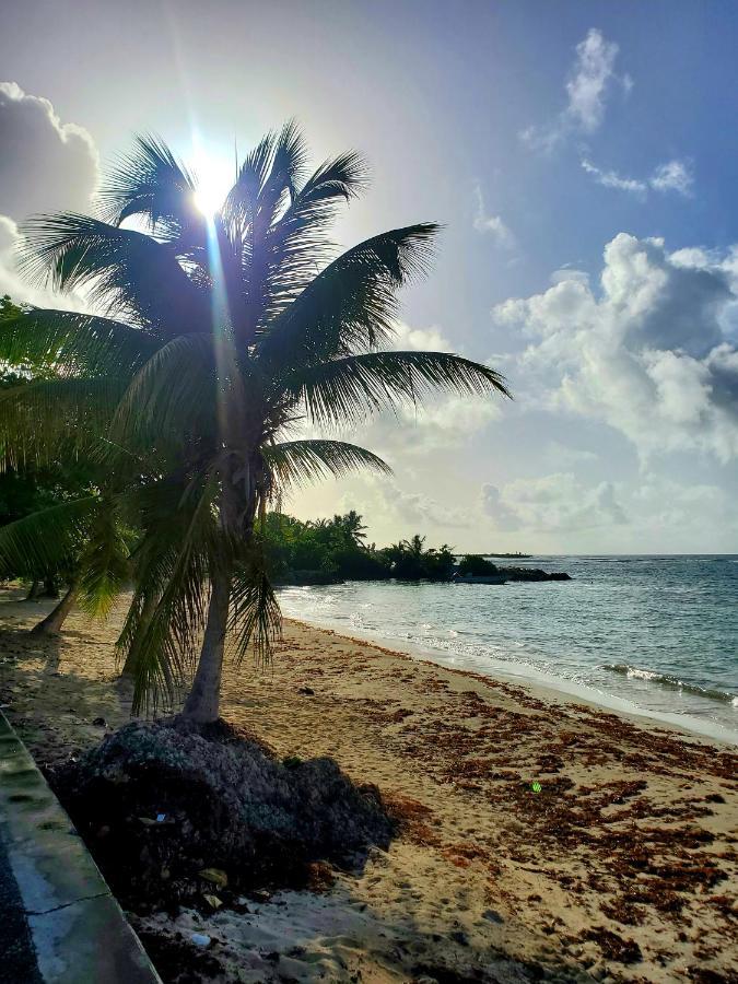 Villa L'Anjou Creole A Sainte Anne En Guadeloupe Avec Piscine Privee Et 2 Chambres Pour 4 Personnes Εξωτερικό φωτογραφία