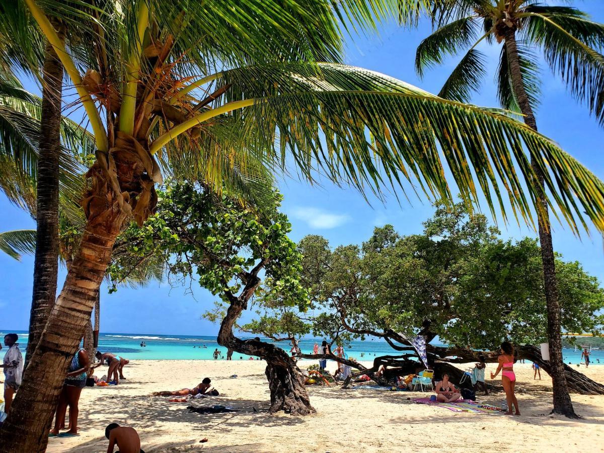 Villa L'Anjou Creole A Sainte Anne En Guadeloupe Avec Piscine Privee Et 2 Chambres Pour 4 Personnes Εξωτερικό φωτογραφία