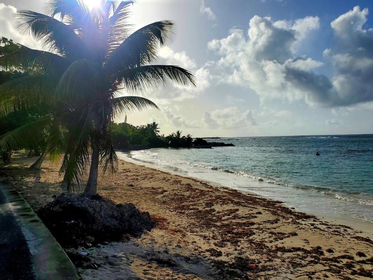 Villa L'Anjou Creole A Sainte Anne En Guadeloupe Avec Piscine Privee Et 2 Chambres Pour 4 Personnes Εξωτερικό φωτογραφία