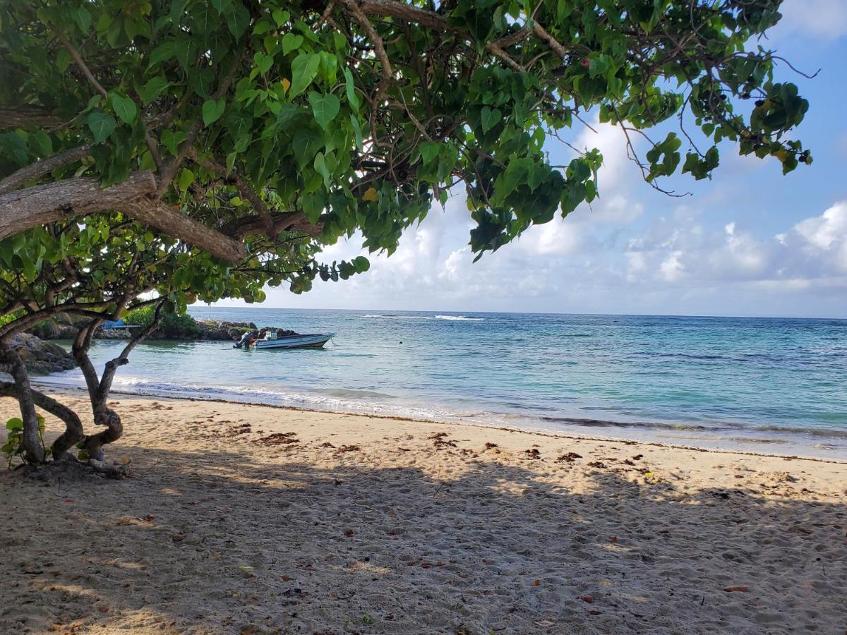 Villa L'Anjou Creole A Sainte Anne En Guadeloupe Avec Piscine Privee Et 2 Chambres Pour 4 Personnes Εξωτερικό φωτογραφία