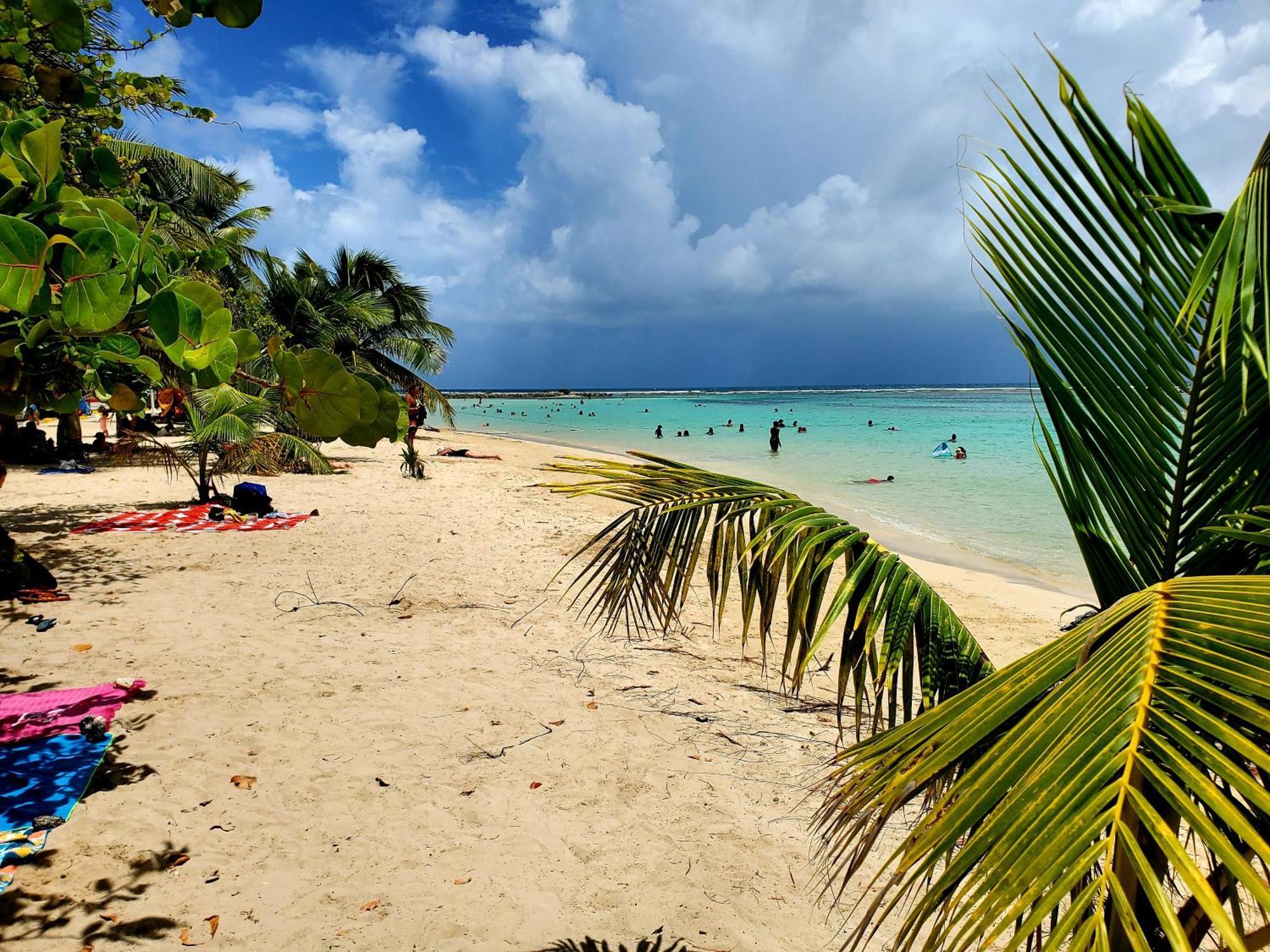Villa L'Anjou Creole A Sainte Anne En Guadeloupe Avec Piscine Privee Et 2 Chambres Pour 4 Personnes Εξωτερικό φωτογραφία