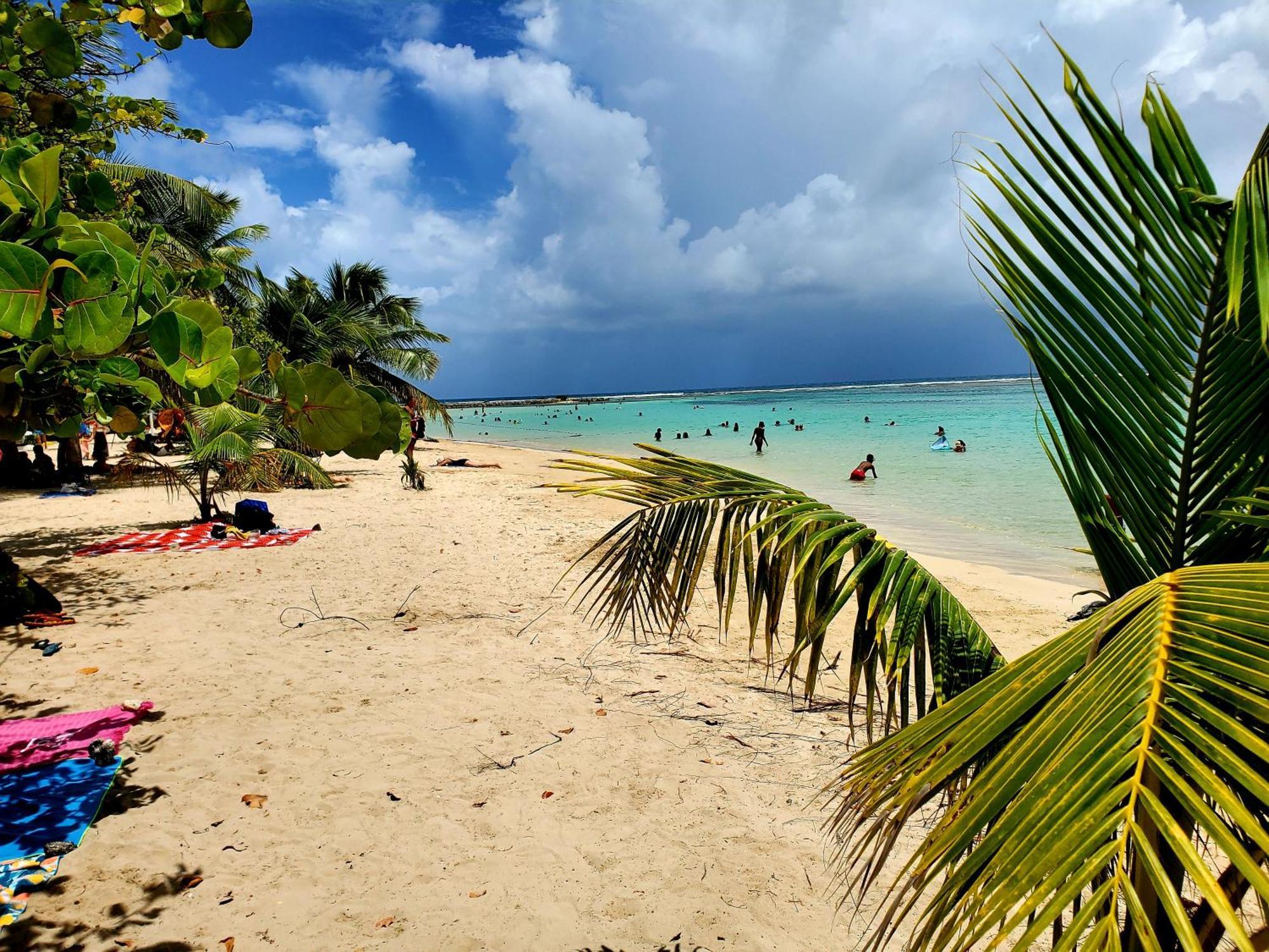 Villa L'Anjou Creole A Sainte Anne En Guadeloupe Avec Piscine Privee Et 2 Chambres Pour 4 Personnes Εξωτερικό φωτογραφία